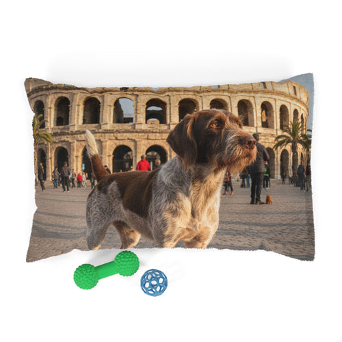 Pet Bed
