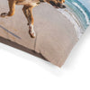 Dogue Brasileiro Pet Bed