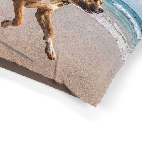 Dogue Brasileiro Pet Bed