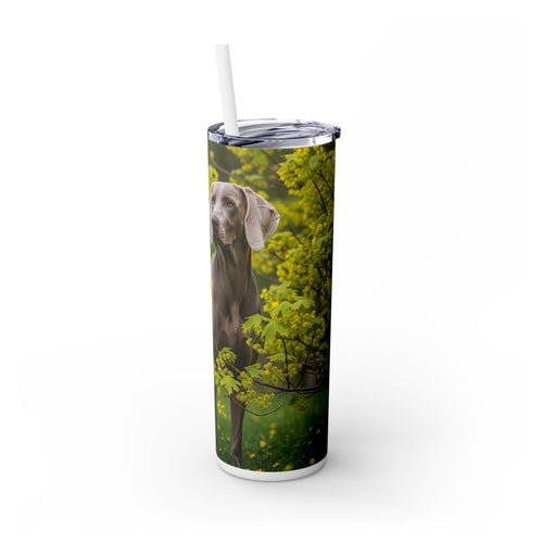 Skinny Tumbler with Straw – 20 oz Stainless Steel Cup