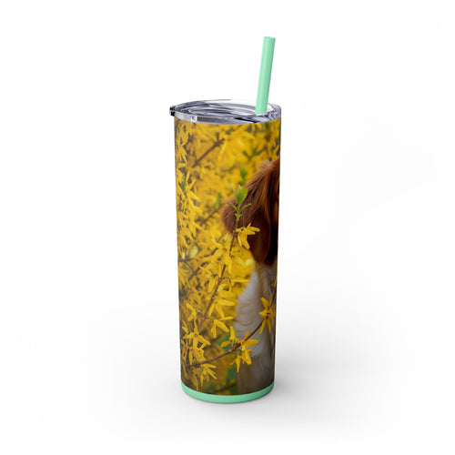 Skinny Tumbler with Straw – 20 oz Stainless Steel Cup
