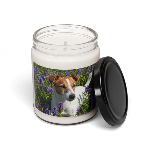 Soy Candle – Scented Jar Candle