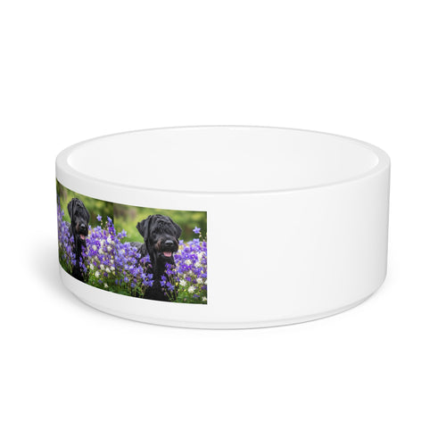 Ceramic Pet Bowl – 16 oz Dog Feeding Bowl
