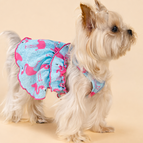 Blue Flamingo Ruffle Dog Dress