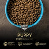 Diamond Puppy Formula All Life Stages 31/20 Suitable Nursing Adult Dog Food 6lb