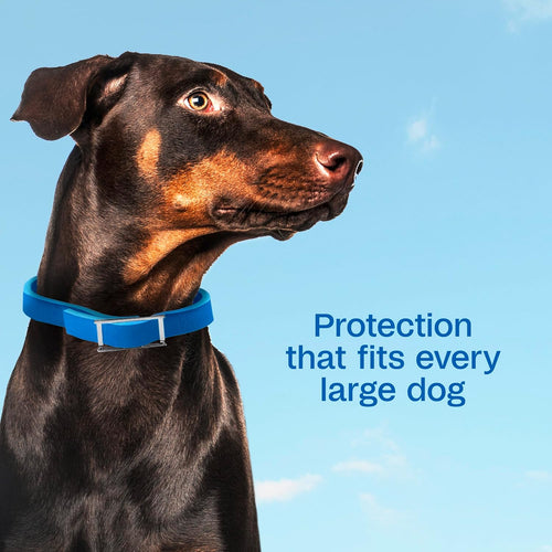 Adams Plus Flea Tick Collar Dogs 7-Month Large Dogs Puppies Kills Fleas Ticks