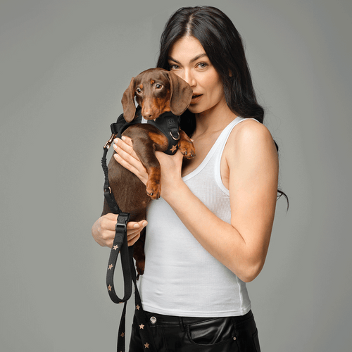 3-in-1 City Dog Leash - Rockstar