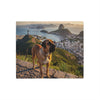 Fila Brasileiro Blanket