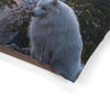 Japanese Spitz Pet Bed