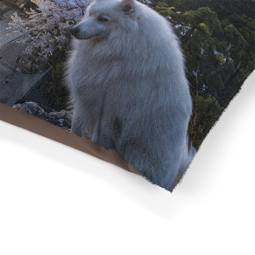 Japanese Spitz Pet Bed