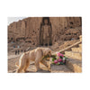 Afghan Hound Blanket