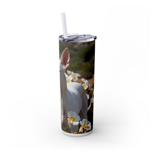 Skinny Tumbler with Straw – 20 oz Stainless Steel Cup