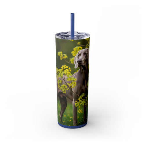 Skinny Tumbler with Straw – 20 oz Stainless Steel Cup