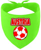 Austria Soccer Pet Bandana