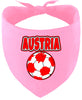 Austria Soccer Pet Bandana