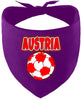 Austria Soccer Pet Bandana