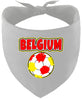 Belgium Soccer Pet Bandana