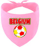 Belgium Soccer Pet Bandana