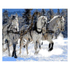 Black And White Horse DIY Digital Oil Painting Frameless Combo Frame