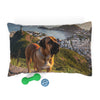Fila Brasileiro Pet Bed