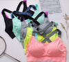 Beautiful Back Sports Underwear Without Steel Ring