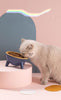 15° Tilted Raised Pet Feeding Bowls
