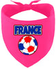 France Soccer Pet Bandana