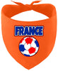 France Soccer Pet Bandana