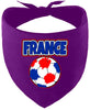France Soccer Pet Bandana
