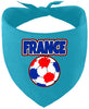France Soccer Pet Bandana
