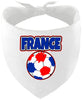 France Soccer Pet Bandana