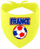 France Soccer Pet Bandana