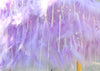 Luxury Lavender Feather Pet Wedding Gown Handmade Crystal Dog Bridal Dress Floor Length Couture Princess Wedding Outfit