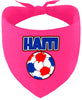 Haiti Soccer Pet Bandana