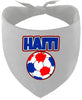 Haiti Soccer Pet Bandana