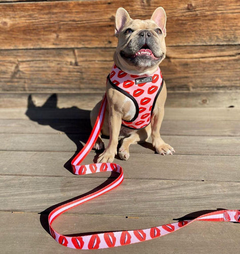 Luxury Red Lips Breathable Mesh Harness Chest Back + Traction