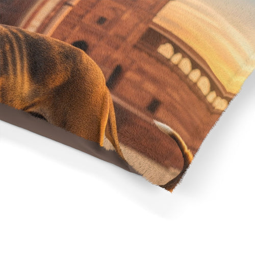 Banjara Hound Pet Bed