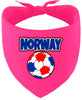Norway Soccer Pet Bandana