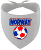 Norway Soccer Pet Bandana