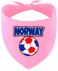 Norway Soccer Pet Bandana
