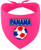 Panama Soccer Pet Bandana