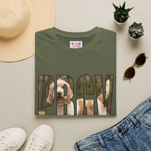Petit Basset Griffon Vendéen (PBGV) Tee Shirt