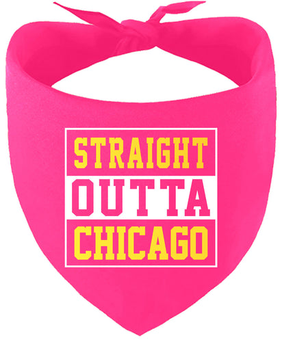 Straight Outta Chicago Pet Bandana