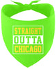 Straight Outta Chicago Pet Bandana