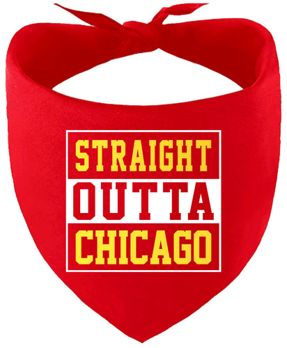 Straight Outta Chicago Pet Bandana