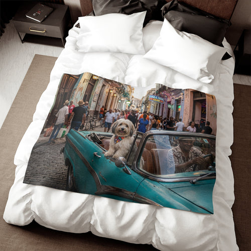 Havanese Blanket