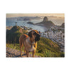 Fila Brasileiro Blanket