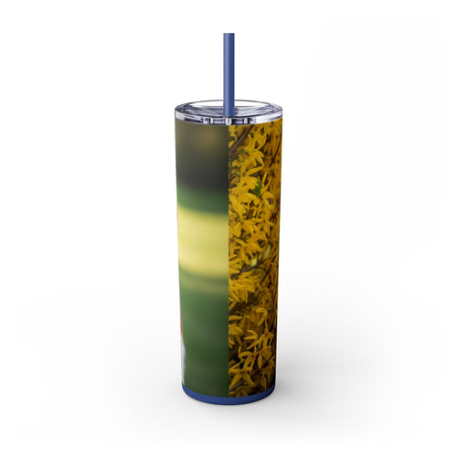 Skinny Tumbler with Straw – 20 oz Stainless Steel Cup