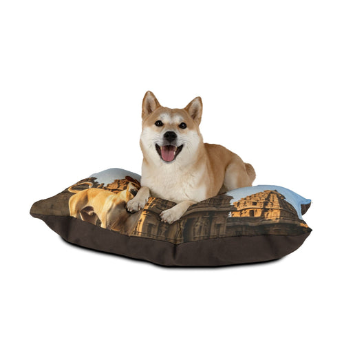 Chippiparai Pet Bed