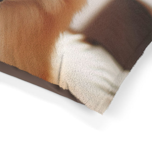 Pet Bed – Plush Dog Bed, 3 Size Options